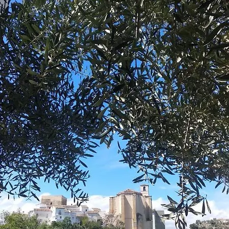 El Carmen *