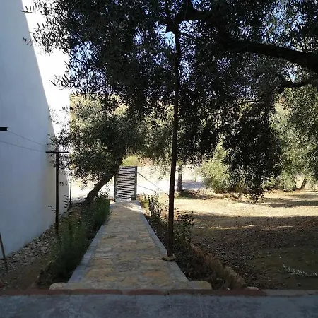 Apartment El Carmen *